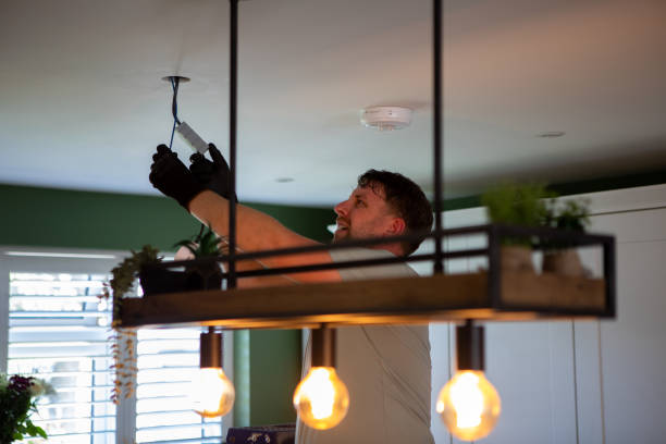 Best Ceiling Fan Installation Electrician  in Delta Junction, AK