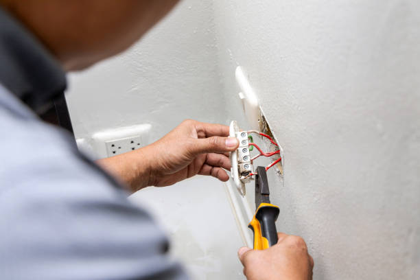 Best Affordable Electrical Installation  in Delta Junction, AK