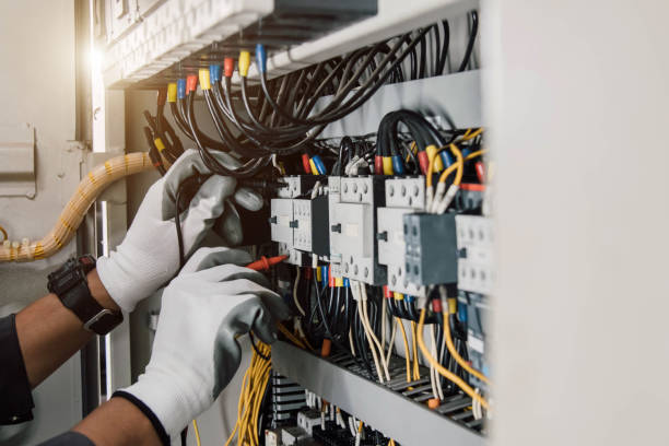 Best Electrical Upgrades for Homes  in Delta Junction, AK